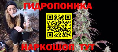 эйфоретик Аргун