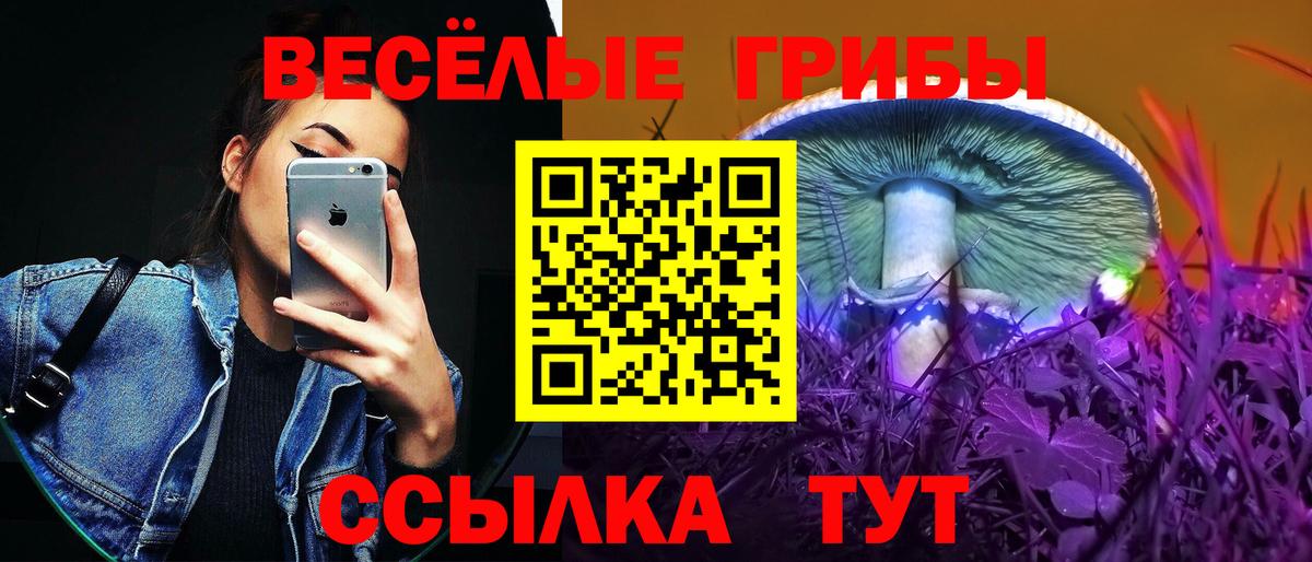 Братск  Псилоцибиновые грибы Magic Shrooms  Вход с VPN 